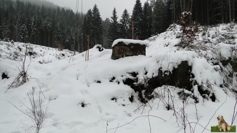 Ritterstein Nr. 200-4 Ruine Gruenbacher-Hof.JPG - Ritterstein Nr.200 Ruine Gruenbacher-Hof